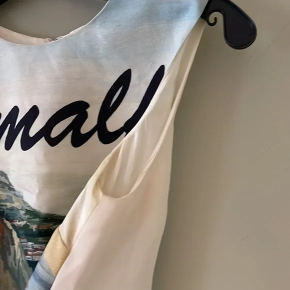 $3,500 Dolce & Gabbana dress size 42 small medium postcard shift dress - Picture 13 of 15